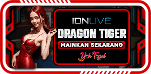 DRAGON TIGER
